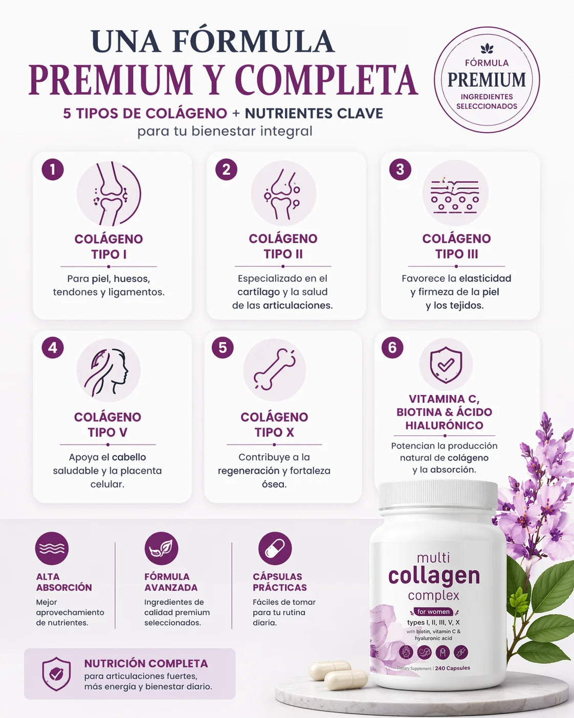 Complejo multicolágeno | 5 Tipos de Colágeno